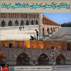 1424480_215877728595236_1365271957_n