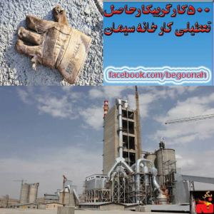 1425660_237680963058817_1205044914_n