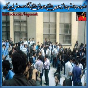 1426603_213935262122816_807489400_n