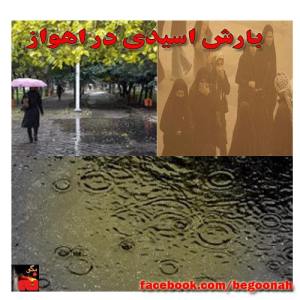 1426711_210431845806491_286788715_n