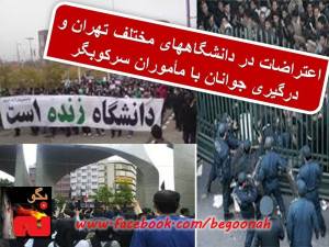 1450169_239907232836190_656938501_n