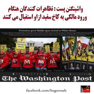 1450266_234701420023438_1523356210_n