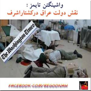 1450327_234228856737361_1836699823_n