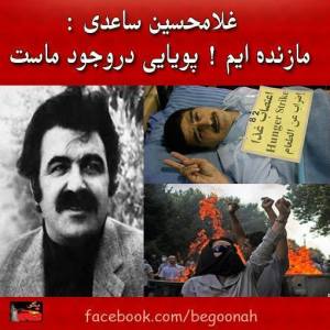 1450732_241443242682589_603938019_n