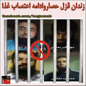 1453271_211094102406932_1450526057_n