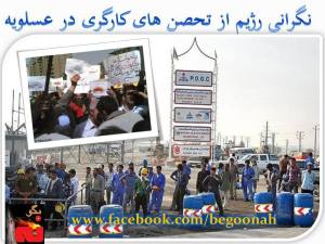 1456648_234727620020818_1838283656_n