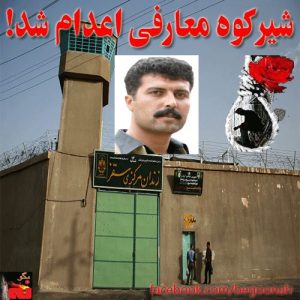 1460092_209758899207119_737324187_n