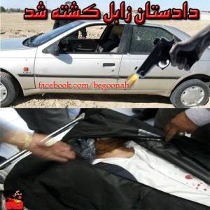 1460999_235864059907174_341538006_n