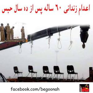 1461784_241385799355000_1858863712_n