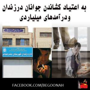 1462982_239783842848529_1976575927_n