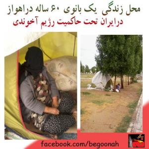 1463737_241173476042899_681492425_n