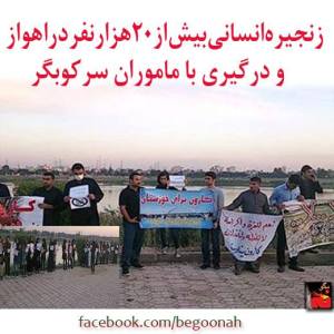 1463959_242993205860926_810360195_n