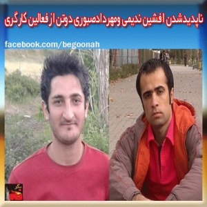 1470041_212613995588276_885175249_n