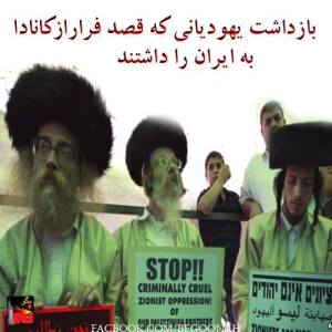 1474404_241945639299016_1944683863_n