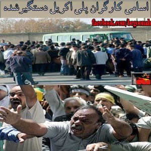 1477947_215321138650895_677487773_n