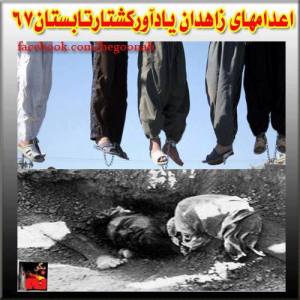 576607_235029339990646_938043771_n