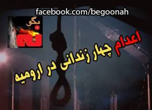 1012812_251226155037631_297774115_n