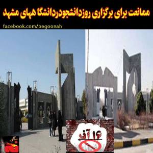 1451323_245193382307575_2080595789_n