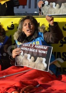 1457556_10151730321757271_1278778852_n