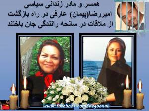 1459671_10200273228913542_1244050108_n