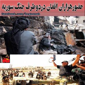 1461189_243785495781697_1767224672_n