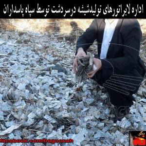 1470004_244279345732312_42928613_n