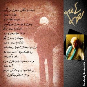 1471836_560673370675301_1188750849_n