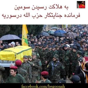 1480749_245936675566579_1328391384_n