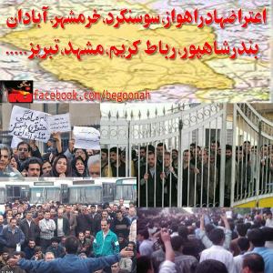 1481123_221194124730263_39288058_n