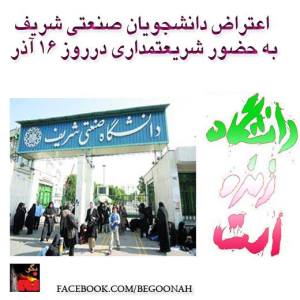 1483313_245313092295604_970265376_n