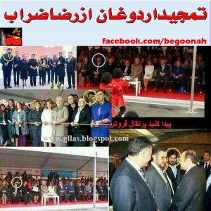 1484975_223985821117760_270657952_n