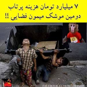 1497504_248632578630322_1934364980_n