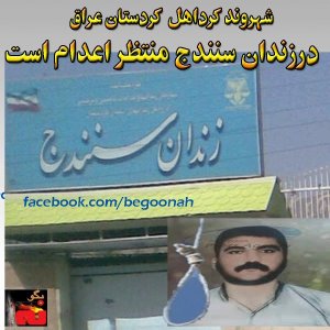 1505378_220114564838219_678363983_n