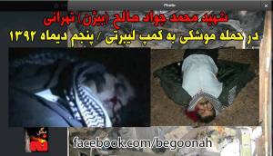 1519781_251409395019307_890741077_o