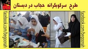 1520791_247631618730418_1605850624_n