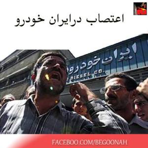 1522124_250129948480585_378655845_n