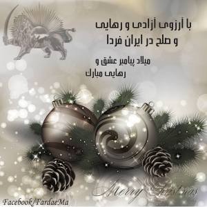 486698_250309685129278_899421332_n