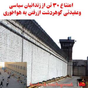 559855_245928005567446_1947340620_n