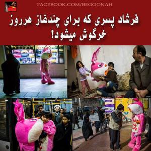 1422336_263634843796762_111241011_n