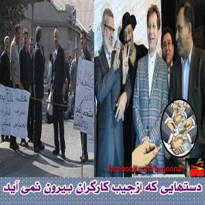 1482334_228180714031604_1405909655_n