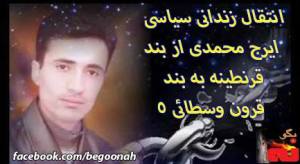 1545650_263624033797843_1009273075_n