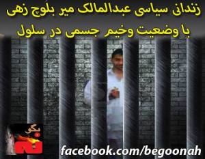 1546100_263802660446647_215546683_n