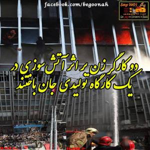 1546124_260476264112620_1110812902_n