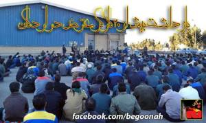 1554565_263891240437789_2130266798_n