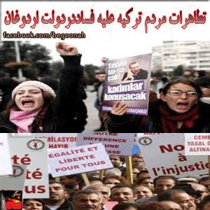 1555521_257132167780363_1540478715_n