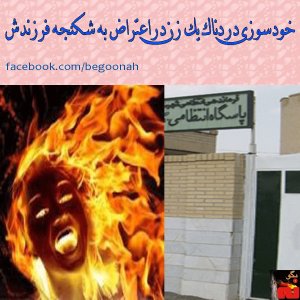 1557564_261981250628788_492280802_n