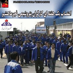 1615033_237947013054974_2106845760_n