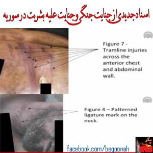 1620055_234609740055368_1138761420_n