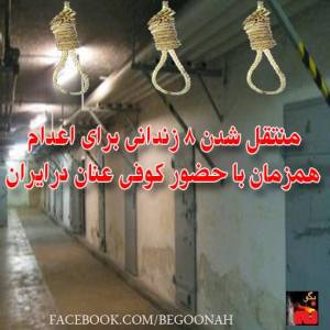 1622175_262748323885414_168680361_n