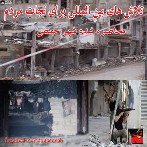 1624601_237784876404521_89032614_n